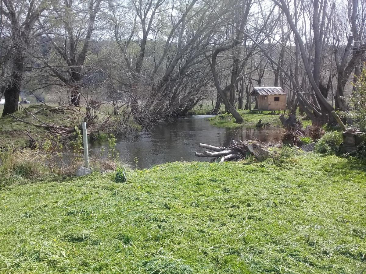 Cabana Con Costa De Arroyo San Martin de los Andes Ngoại thất bức ảnh